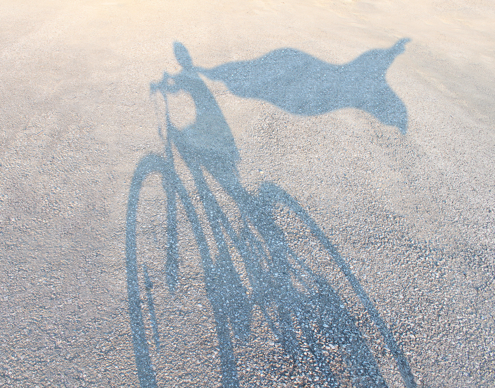 Superhero child wearing a cape riding a bicycle as a cast shadow on a road pretending to be a powerful hero as a metaphor and symbol of youth and childhood imagination and empowering kids self esteem.